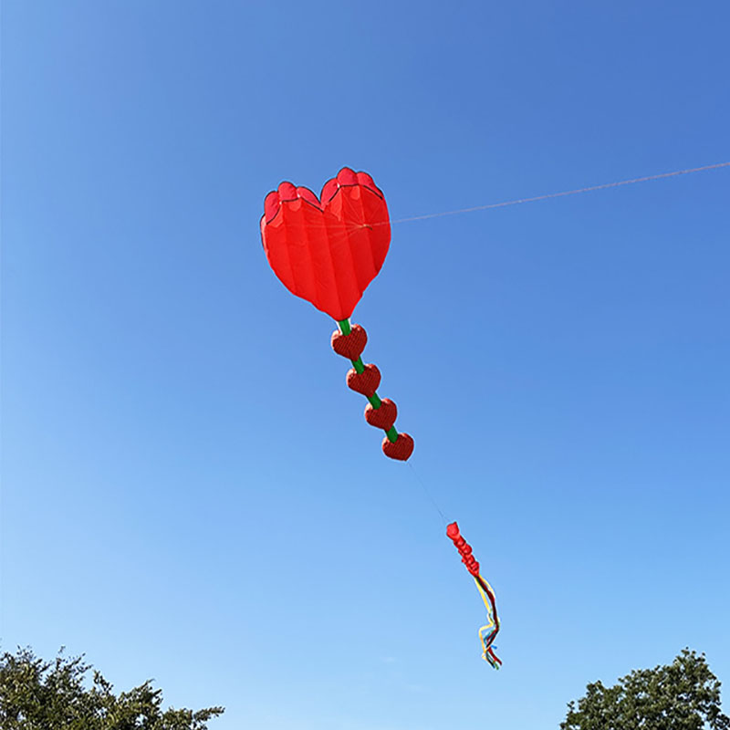2026 Nieuwe Hartvormige Vliege - Kids Outdoor Area recensie en prijs