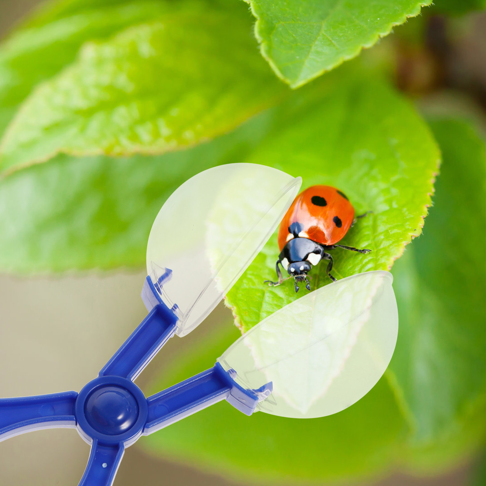 8-delige insectenvanger schaar - Kids Outdoor Education recensie en prijs
